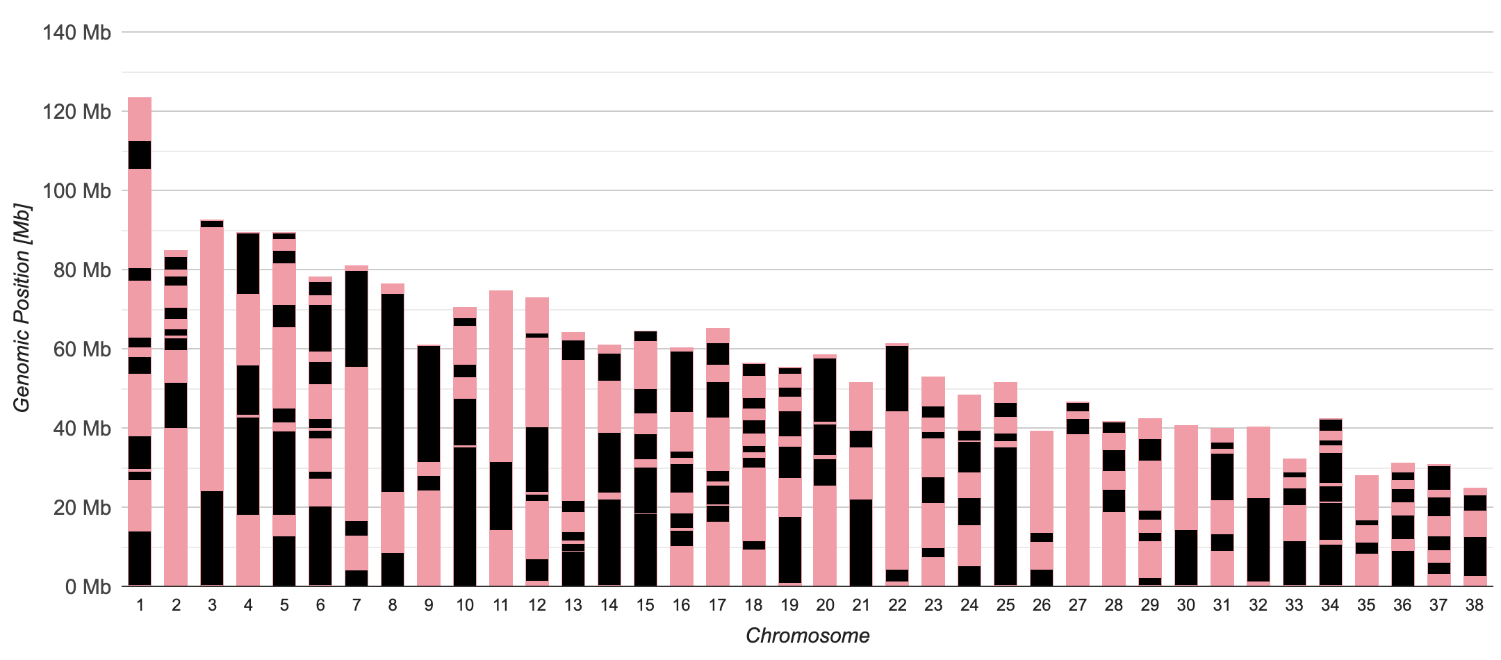 ROH-Profil Hund – GIK 45 % ROH-Profil eines Hundes mit ausgedehnten reinerbigen ROH-Abschnitten über viele Chromosomen – extreme Inzucht, GIK 45 %