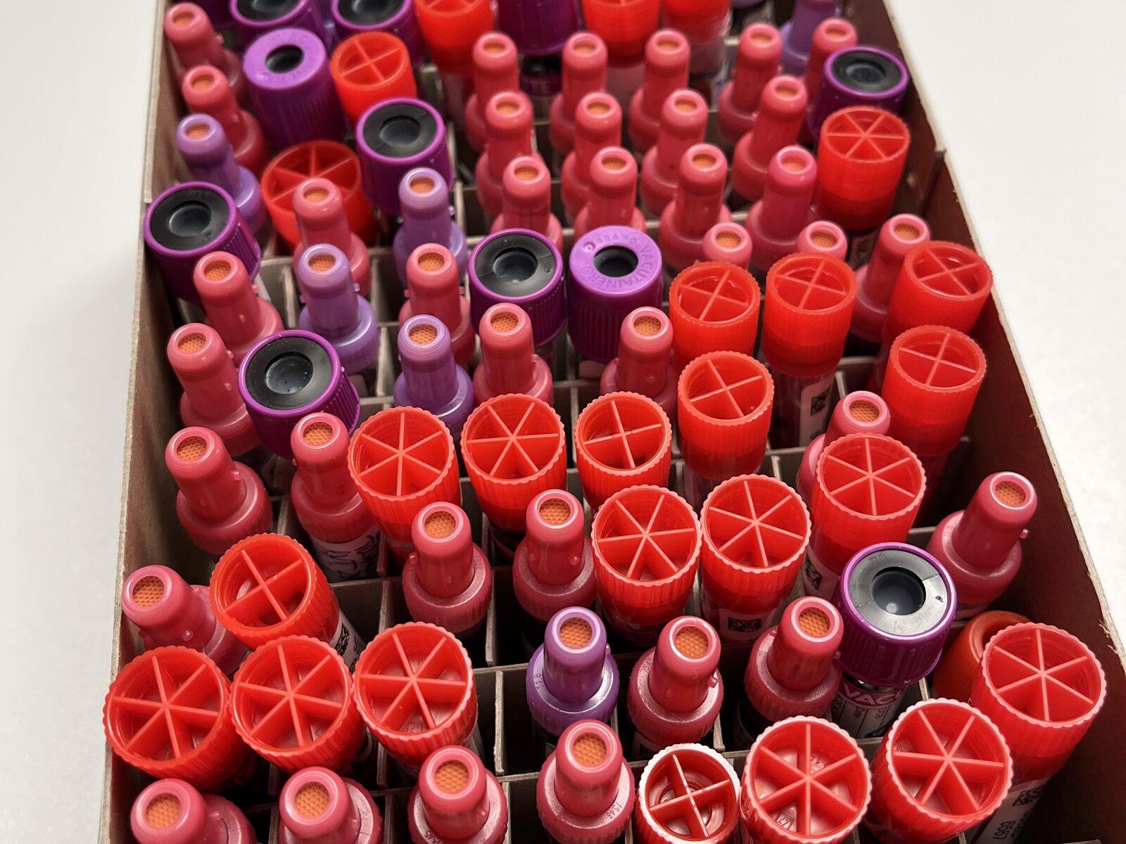 EDTA blood tubes in the sample archive Storage box with tightly packed EDTA blood tubes in the laboratory sample archive.